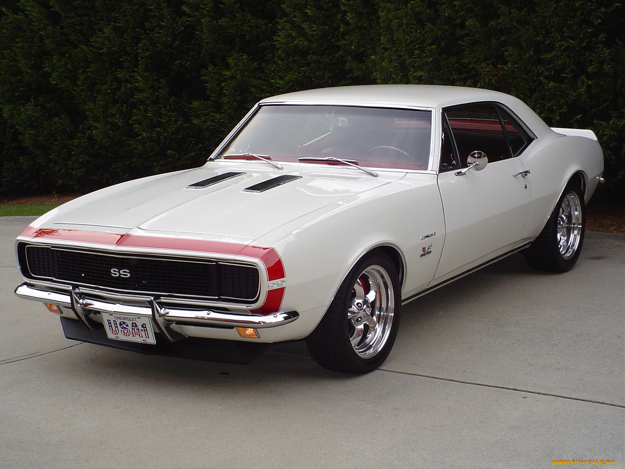 , camaro